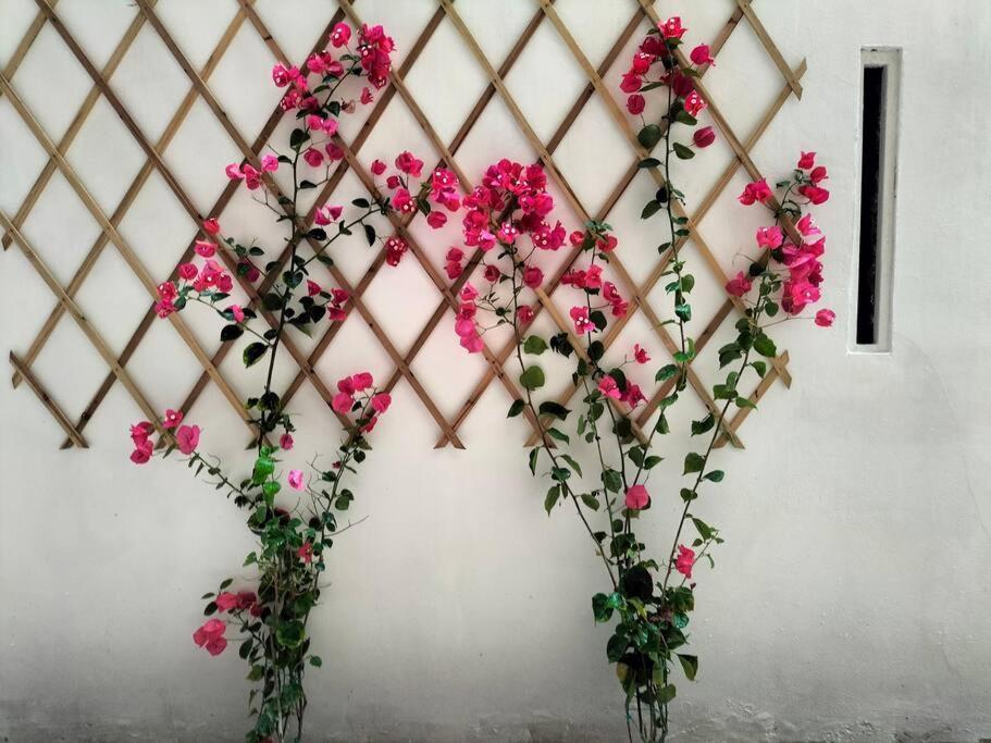로마 Casalara Garden 아파트 외부 사진